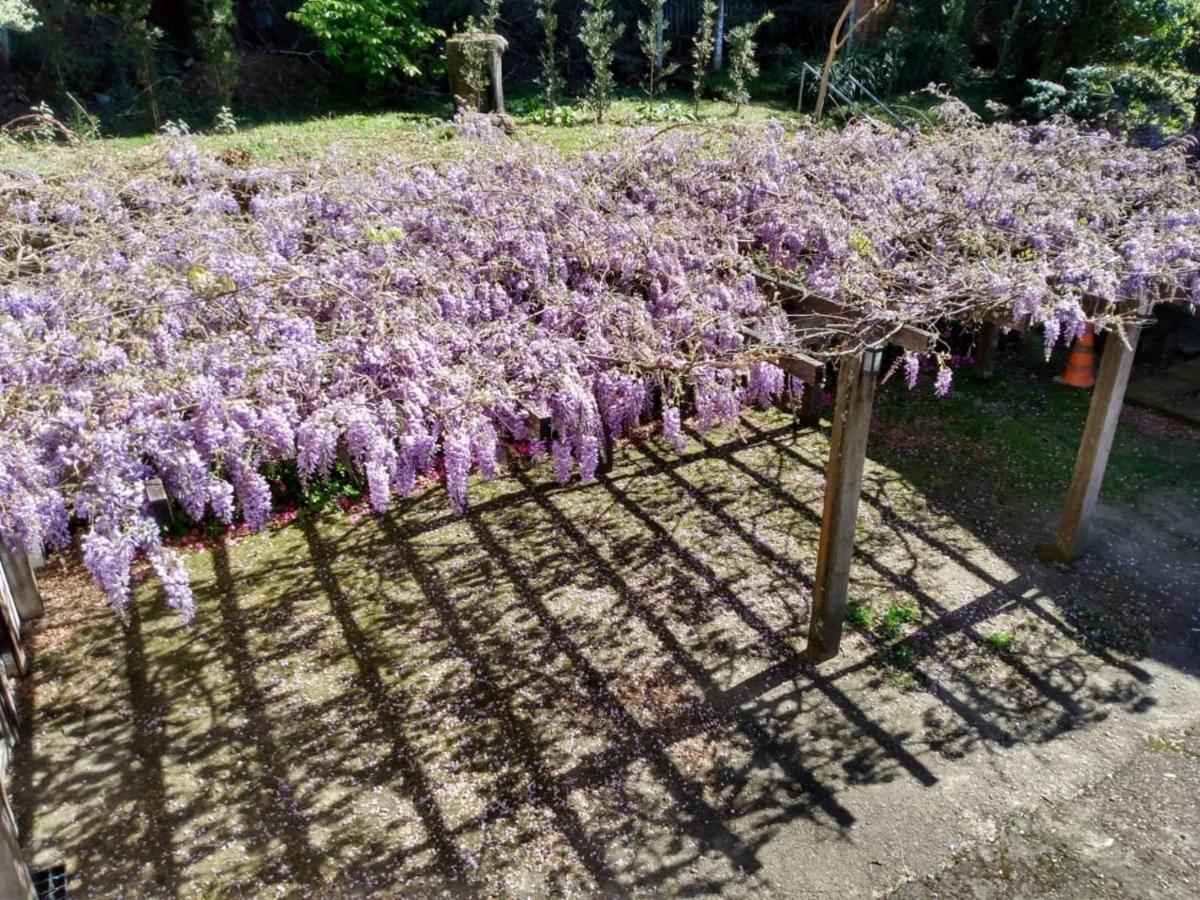 Apartamentos Aromas De Gramado - Bairro Centro ภายนอก รูปภาพ